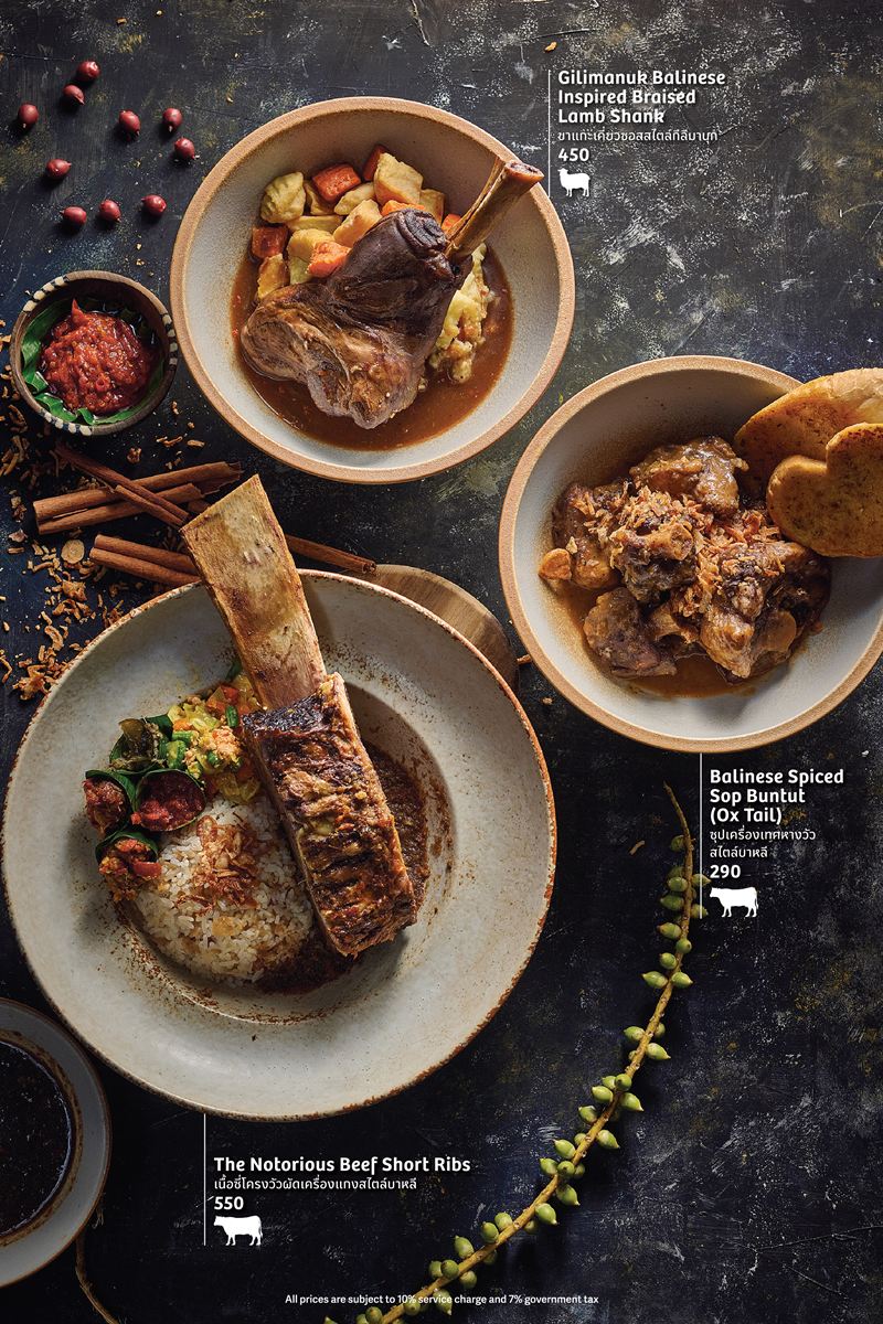 NN Food 1 02